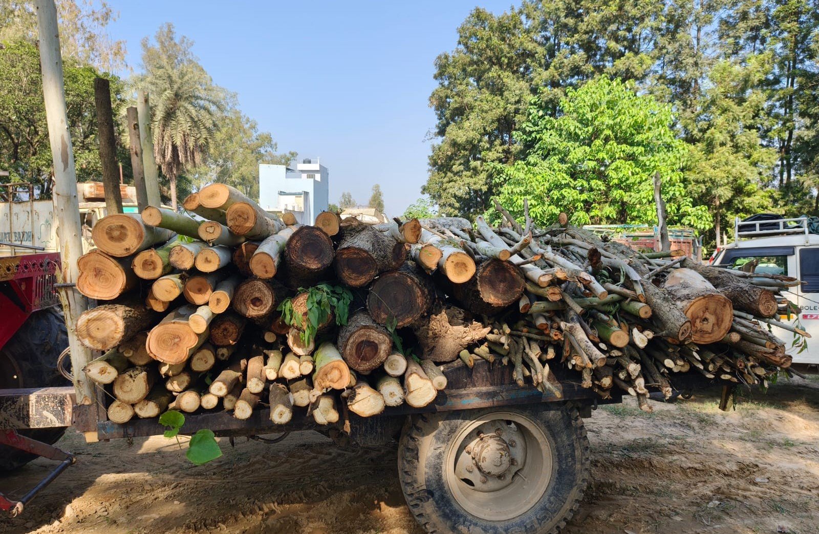 सहारनपुर: प्रतिबंधित आम की लकड़ी का अवैध परिवहन, पुलिस व वन विभाग ने ट्रैक्टर-ट्रॉली की सीज